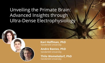Webinar: Unveiling the Primate Brain: Advanced Insights through Ultra-Dense Electrophysiology