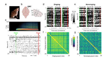Neural dynamics in the rodent motor cortex enables flexible control of vocal timing