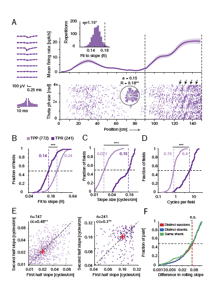 Case Study: High Fidelity Theta Phase Rolling of CA1 Neurons