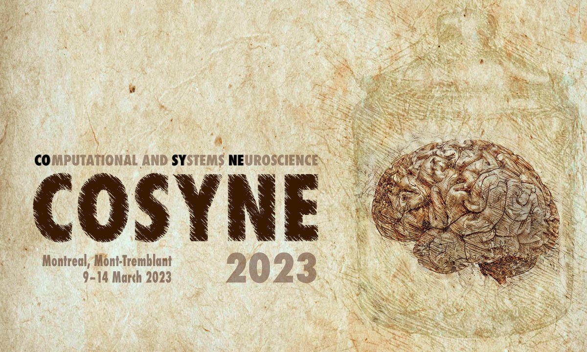 COYSNE 2023 Conference