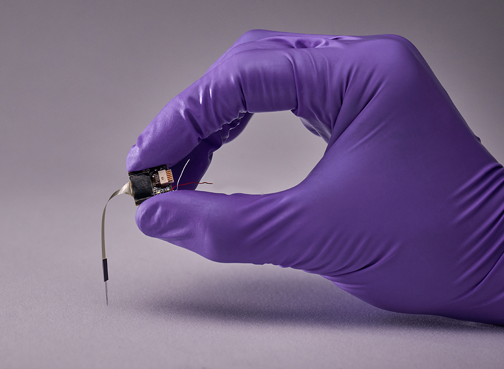 siliconprobe_heldpurpleglove-1